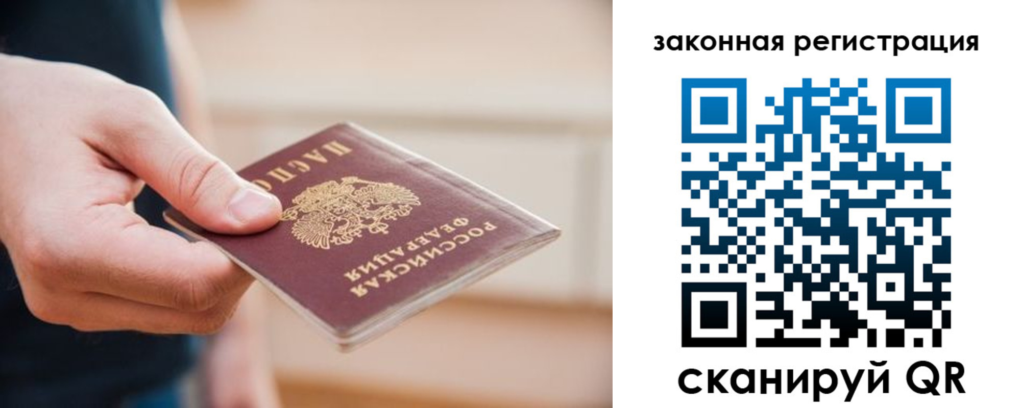прописка в Щёкино